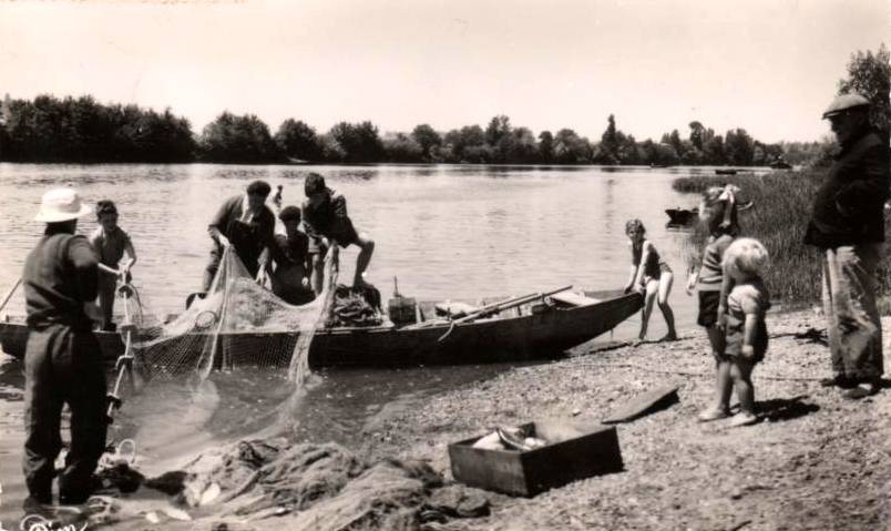 la pêche aux aloses 2